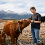 Peter Thiel’s Big Bet on Solar-Powered Cow Collars: The Future of Smart Farming