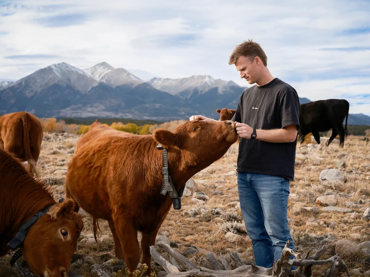 Peter Thiel’s Big Bet on Solar-Powered Cow Collars: The Future of Smart Farming